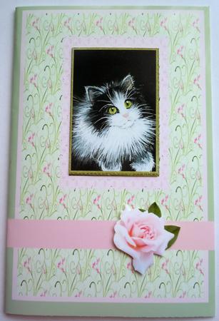 A4 Black and White Cat by Sharon Wilson