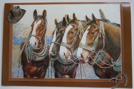 Horses by Sharon Wilson