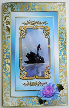 Gold Gilt Pastel Frames by Sharon Wilson