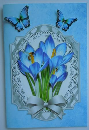 Pretty Blue Crocus and Butterflies on Silver Lattice Frame by Sharon Wilson