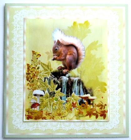 Red Squirrel 8x8 Topper by Sharon Wilson
