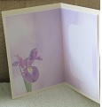 Purple Iris Ruffle Duo Corner A5 Stacker by Linda Wright