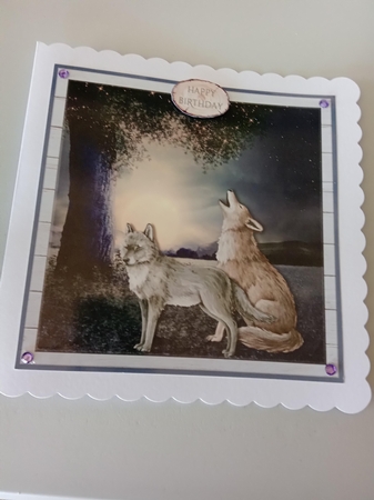 WILD WOLVES quick card by Linda Wright