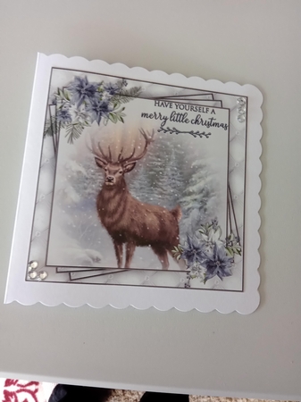 Winter Wildlife 6X6 Topper Sheet #1  by Linda Wright