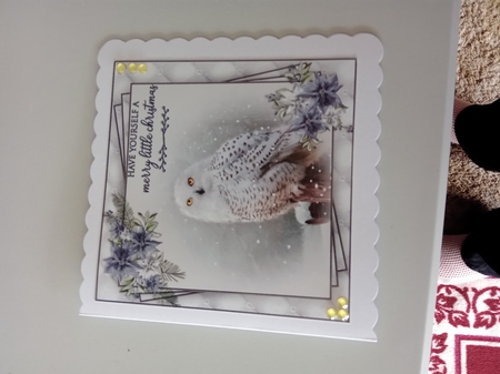 Winter Wildlife 6X6 Topper Sheet #3  by Linda Wright