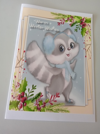 A5,Skating Raccoon with Insert by Linda Wright