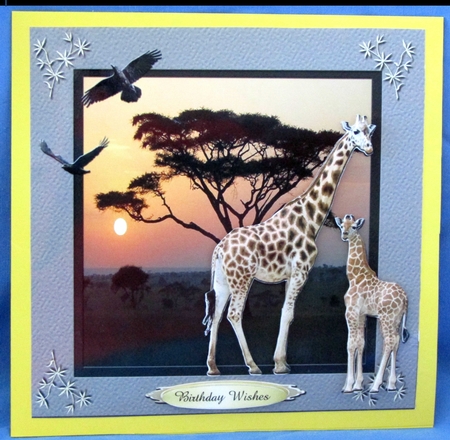 Wild Animals 1 Quick Card Topper by Linda Wright