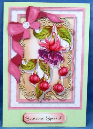 A5 Lovely Fushiar Rae  by Linda Wright