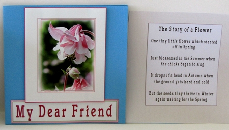 The Story of A Sweet Pea by Linda Wright