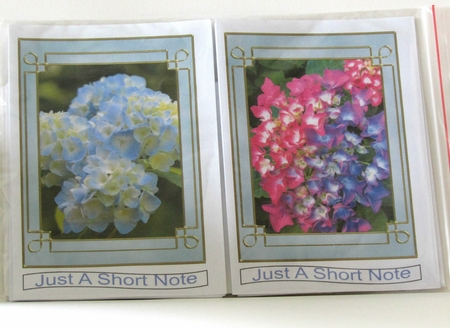 Hydrangea Tags/Mini card by Linda Wright
