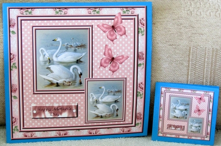 Swan Song by Linda Wright