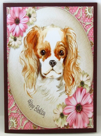 Spaniel   -  Happy Birthday by Linda Wright