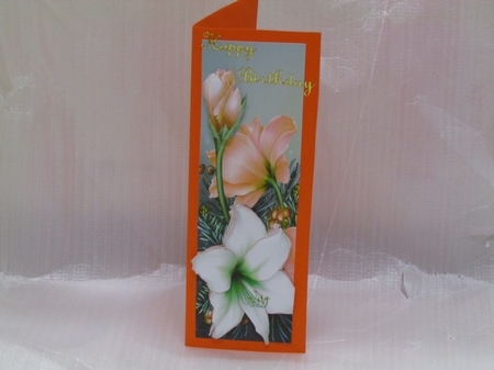 Pretty peach and white poinsettias tall DL by Linda Wright