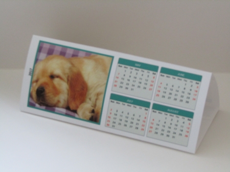 Sleepy Pups 2107 Triangle Desk Calendar by Linda Wright