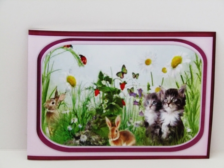 2 A6 Notelet card ,Daffodils and Kitty Time  by Linda Wright