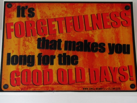 A4 Fun Novelty Good Old Days - Senior Moment Saying Card Topper by Linda Wright