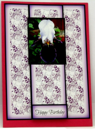 Iris panel card by Linda Wright