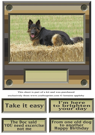 GERMAN SHEPHERD DOG by Linda Wright