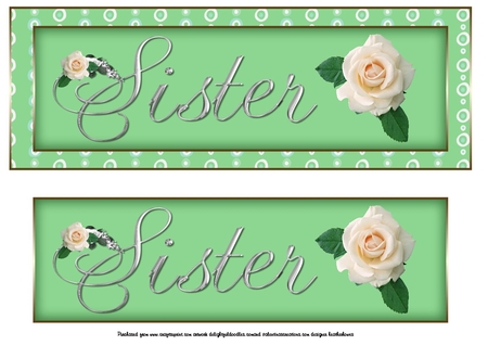 sister DL rose by Linda Wright