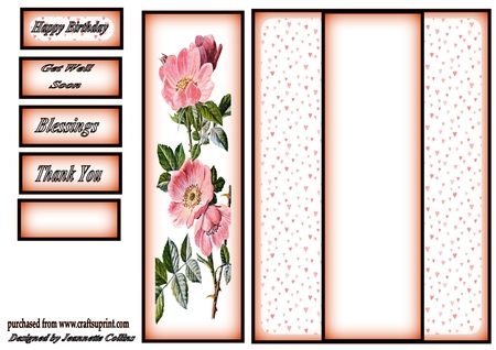 The Wild Rose by Linda Wright