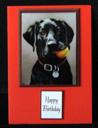 Bruce wants to play ball Decoupage by Linda Wright