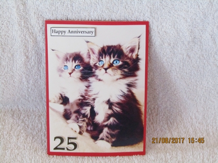 Cute Kittens A5 Quick Card by Linda Wright