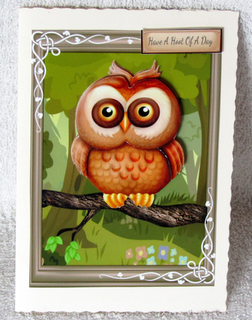 Gorgeous Brown Owl by Linda Wright