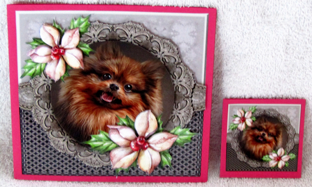 Pomeranian by Linda Wright