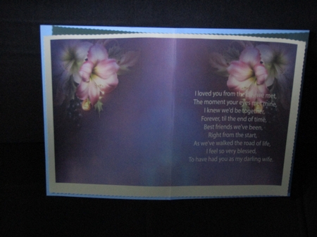 Verse Insert Bumper Kit by Linda Wright