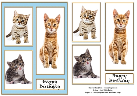 Quad Frames Set 3 (Floral Family Color Palette) by Linda Wright