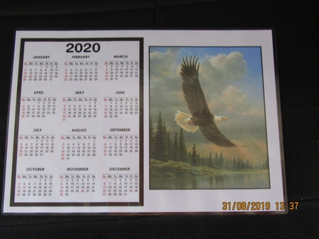 2020 Calendar -  Landscape The Regal Eagle by Linda Wright
