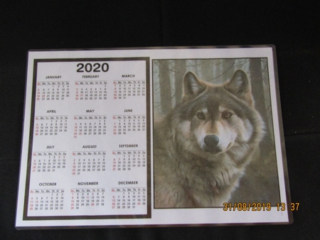 2020 Calendar -  Landscape Wolf by Linda Wright