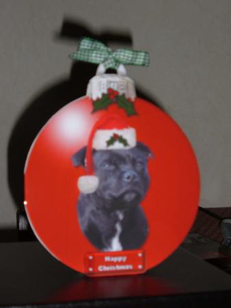 Staffordshire Bull Terrier Christmas Bauble by Linda Wright