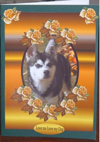 Love Me Love My Dog by Linda Wright