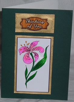 Freestyle Lily Digital Stamp by Linda Wright