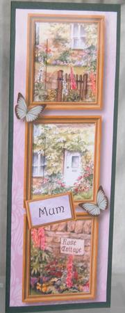 Rose Cottage Frame Trio Large Dl by Linda Wright