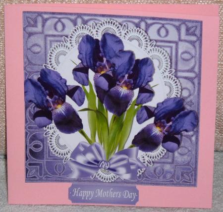 Pretty Purple Irisis with Satin Bow on Lace 8x8 by Linda Wright