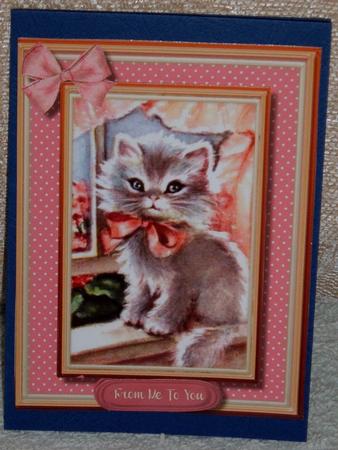 Beautiful Fluffy Kitten in the Windoew  by Linda Wright