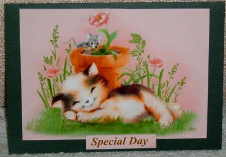 Cute Kitty by Linda Wright