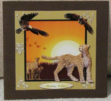 Wild Animals 5 Quick Card Topper by Linda Wright