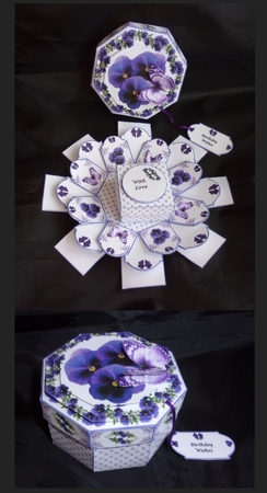 Succulants Bright Corners 9 by Shirley Thompson