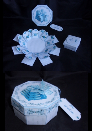 ROMANCE IN BLUE by Shirley Thompson