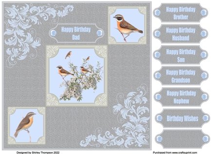 Birds All The Way by Shirley Thompson