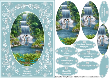 21 Succulants Bright A5 Frames 2 by Shirley Thompson