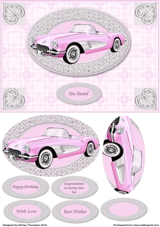 Silver Accents Designer Resource by Shirley Thompson