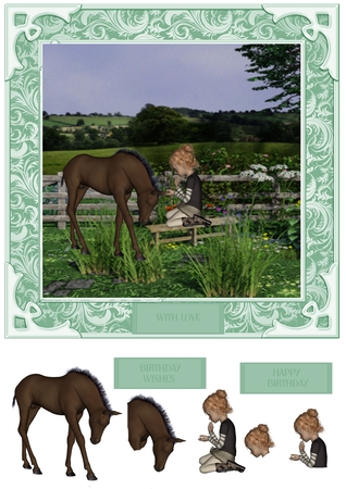 8 Beautiful Chestnut Foals by Shirley Thompson