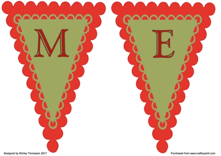 T042 Pennant Mr & Mrs *PNG* by Shirley Thompson