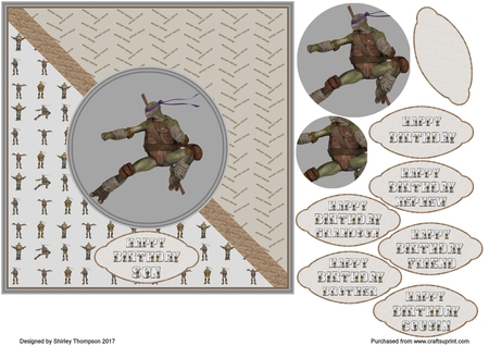 Teenage Mutant Turtles by Shirley Thompson
