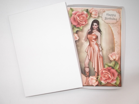 Peach Rose Beauty A5 by Shirley Thompson