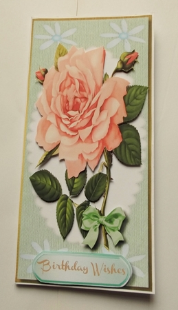Lovely D.L with Peach Rose and Verse , by Shirley Thompson